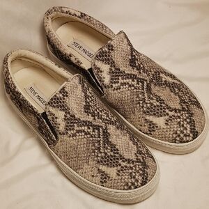 Steve Madden Gills Snakeskin Print Fabric Canvas Slip-on Sneakers